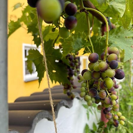 Haus Rheinleben Apartman Boppard Kültér fotó